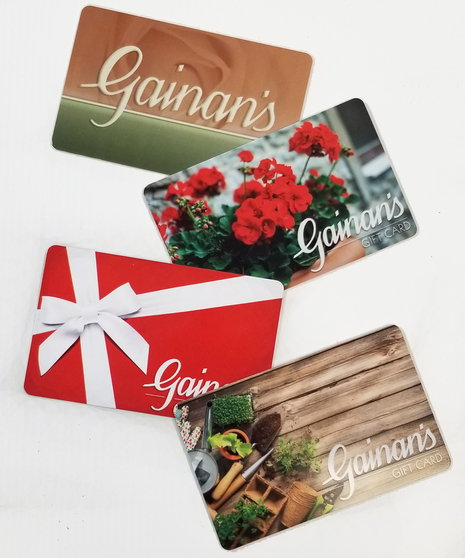 close up of gift cards