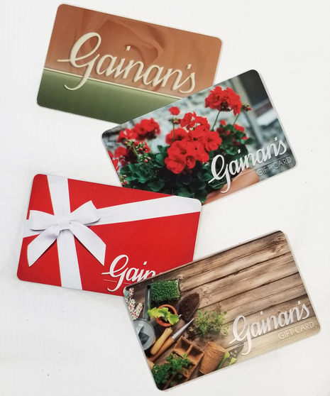 close up of gift cards
