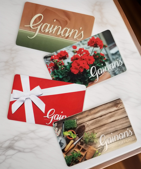 close up of gift cards