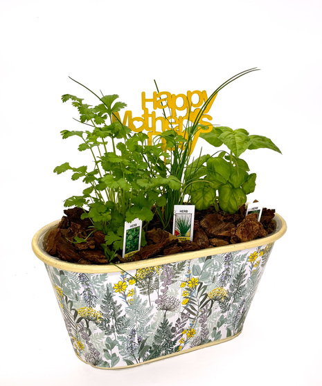 Herb Garden