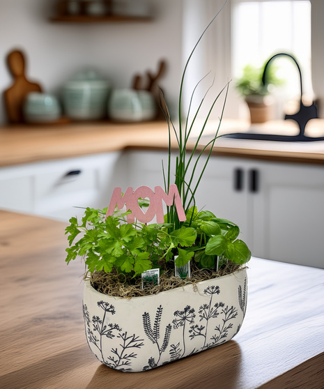 Culinary Herb Garden - fresh from the heart