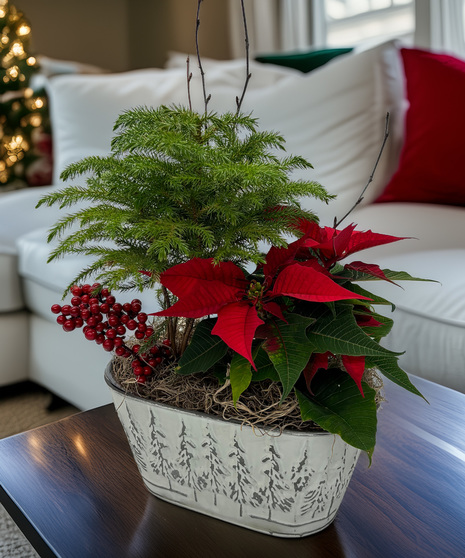 It's Christmastime Blooming Garden - a traditional display of holiday cheer