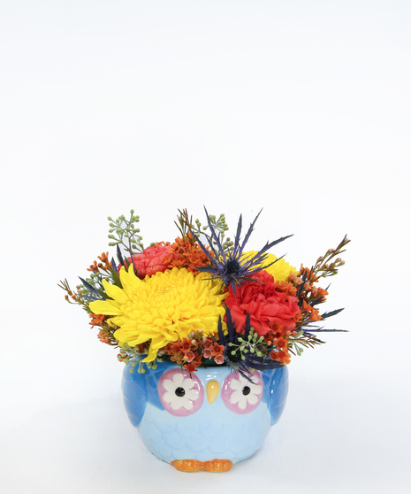 Little Hoot - send a whimsical and charming floral gift