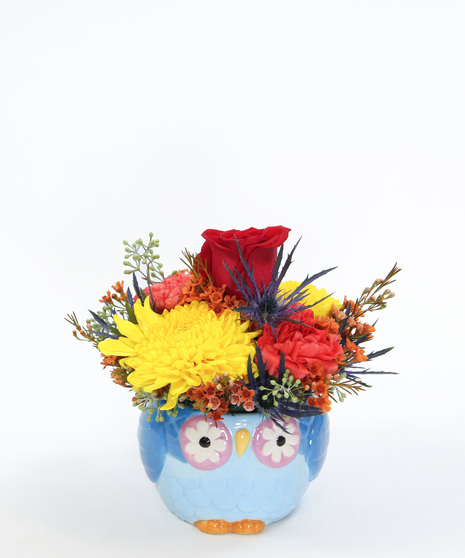 Little Hoot bouquet with disbuds, carnations & seasonal accents in an owl mug. Adorable floral gift perfect for gifting
