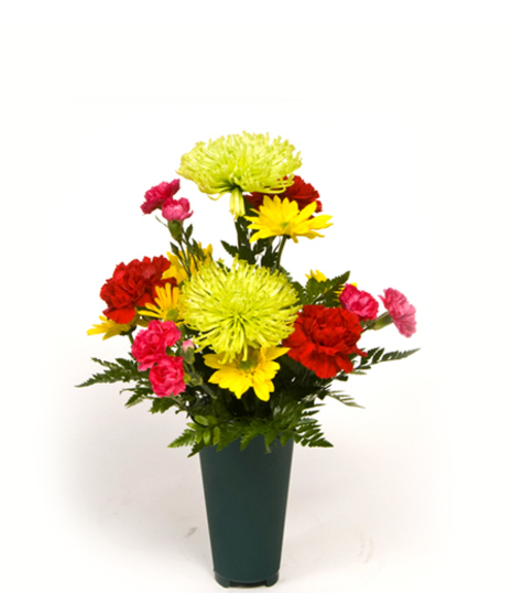 Token of Love