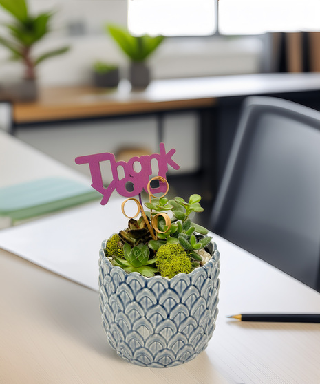 Succulent garden in blue embossed ceramic planter with moss accents and ‘Thank You’ pick. A long-lasting appreciation gift.