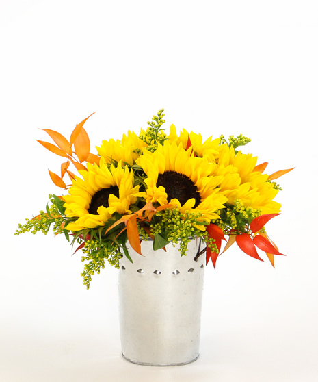 Sundance - send sunshine and cheer with every bloom