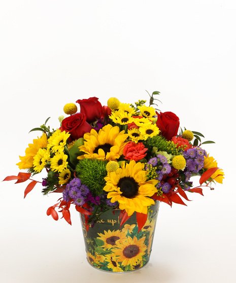 Sunflower Fields bouquet with sunflowers, carnations & Viking poms in a painted sunflower tin. Perfect cheerful fall gift bouquet