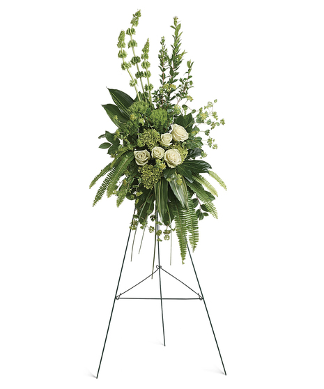 A peaceful display of affection and sympathy, this monochromatic spray of gorgeous fresh greens and pure white roses is a vision of tranquility. 