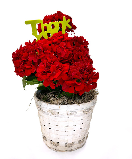Thank You Geranium