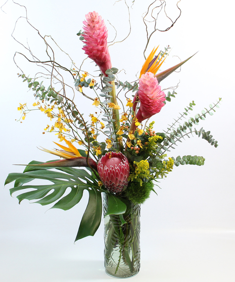 Bring the tropics to you with this tropical bouquet of ginger, birds of paradise, protea, oncidium orchids and more in a glass vase with a monstera leaf.