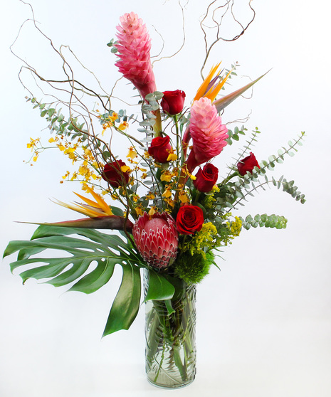 Bring the tropics to you with this tropical bouquet of ginger, birds of paradise, protea, oncidium orchids and more in a glass vase with a monstera leaf.