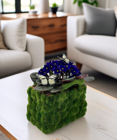 African Violet Planter - naturally charming