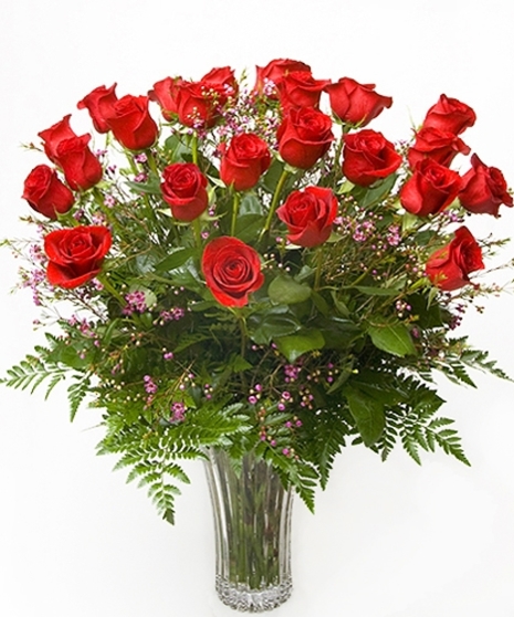 Two Dozen Roses