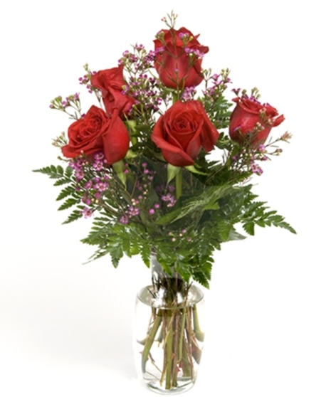 Six Roses