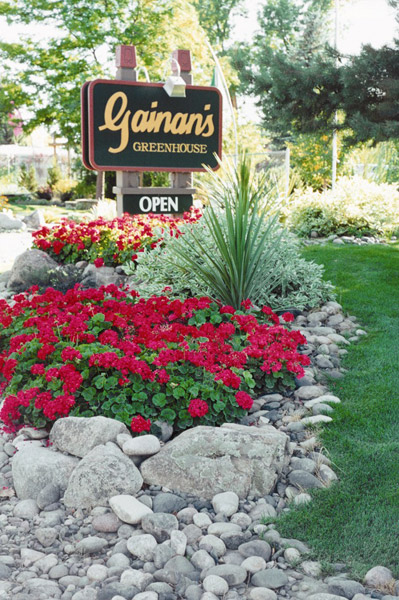 Image Result For Gainans Garden Center